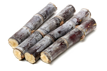 Fresh Sugar cane on white background.
