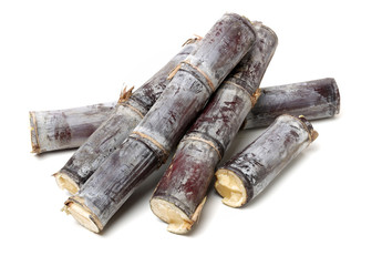 Fresh Sugar cane on white background.