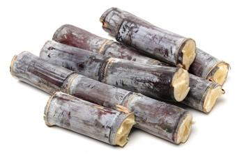 Fresh Sugar cane on white background.