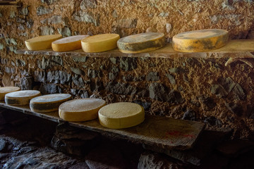 cheese on the mountain pasture
