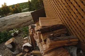 log cabin in forest