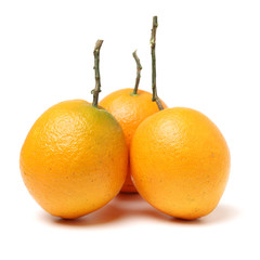 orange fruit with leaves on white background.