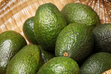 Avocado New Zealand import for sale.