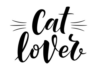 Cat lover handwritten sign. Modern brush lettering. Cute slogan about cat. Phrase for wall decor, poster design, postcard, t-shirt print or mug print. Meow power. Vector isolated illustration