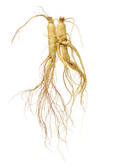 ginseng Isolated on a white background