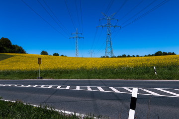 road in the field rural landscape with power poles in germany nrw