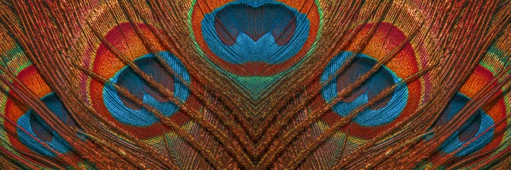 Foto op Plexiglas Close-up van verenpauw. De textuur van de beroemde pauwenveren. Abstracte achtergrond van veren. © Кузнецова Евгения