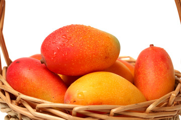 Mango. Healthy, isolated