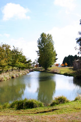 A duckpond in Guyra. Australia.