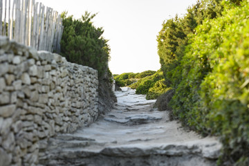 (Selective focus) Stunning view of a stone mountain trail that runs trough a rich and green vegetation. Bonifacio, Corsica, France.