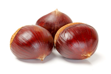 Chestnut on a white background.