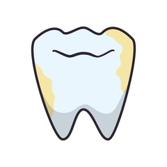tooth human isolated icon vector illustration