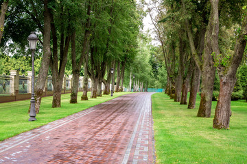 well groomed park with large deciduous trees planted symmetrically in a row along the footpath with streetlight lampposts, summer cloudy day after rain nobody.