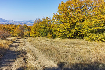 Autumn view of Cherna Gora (Monte Negro) mountain, Bulgaria