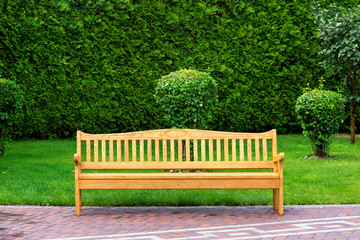 wooden park bench with sidewalk and green lawn with hedge of bush thuja, a free place to relax...