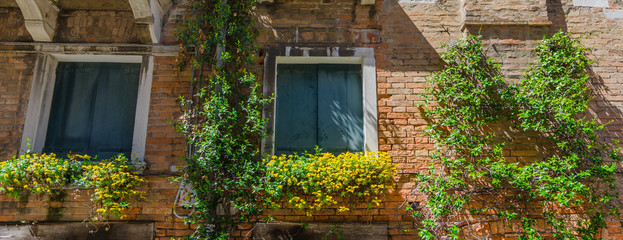 Fototapeta na wymiar Old vintage window with colorful flowers, in Venice, Italy.