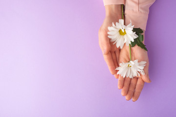 Female hands with white delicate flowers .art photo