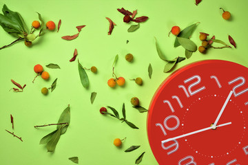 El tiempo pasa, camino hacia el otoño, una estacion llena de color.