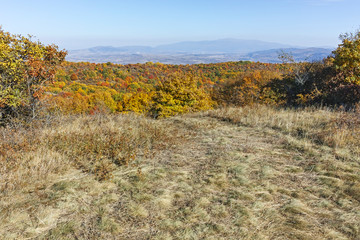 Autumn view of Cherna Gora (Monte Negro) mountain, Bulgaria