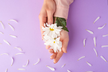 Obraz na płótnie Canvas Female hands with white delicate flowers .art photo