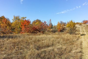 Fototapeta premium Autumn view of Cherna Gora (Monte Negro) mountain, Bulgaria