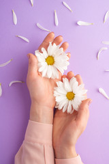 Flat lay.Gentle female hands with white delicate flowers.art photo, top view, vertical photo