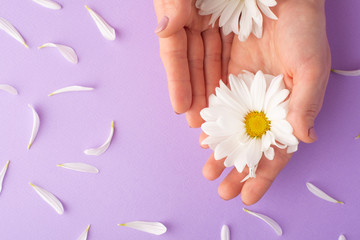 Female hands with white delicate flowers .art photo