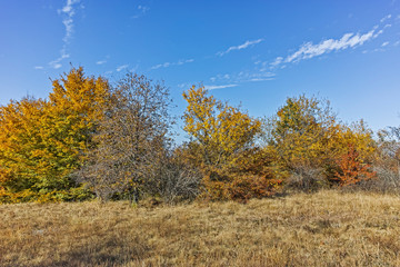 Autumn view of Cherna Gora (Monte Negro) mountain, Bulgaria