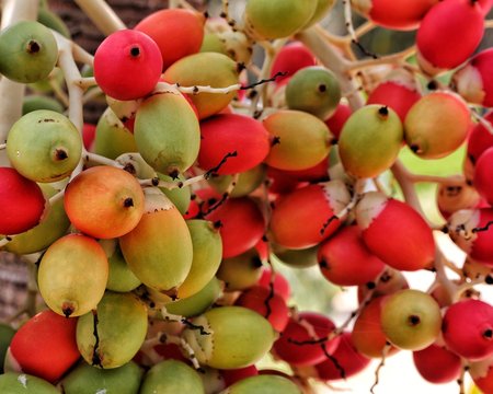 apples and pears