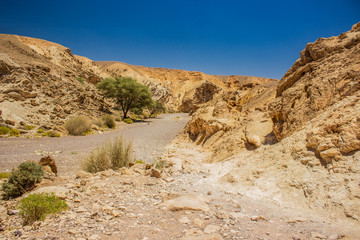 Fototapeta na wymiar desert canyon rocky highland scenery landscape with passage between sand stone dry empty hills