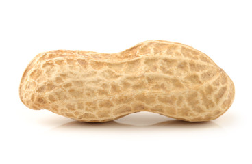 Peanut isolated on white background.