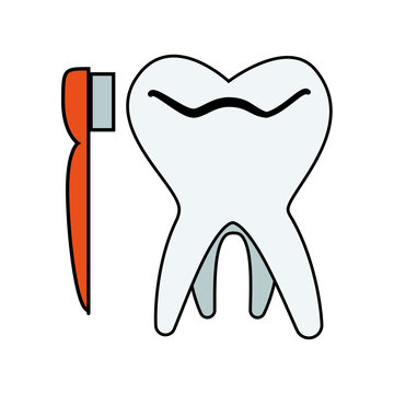 tooth human with brush vector illustration