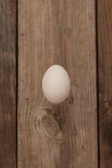 isolate egg on brown bcackground