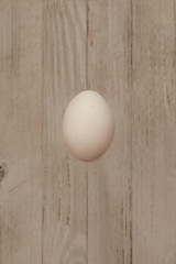 isolate egg on grey wooden background