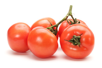Tomato Group on white background