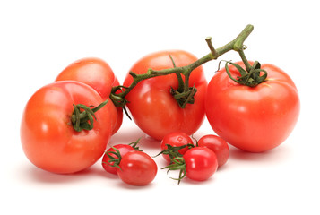 Tomato Group on white background