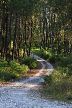 O bom caminho &eacute; sempre aquele que te leva ao interior da natureza