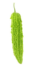 Bitter melon , Bitter gourd on white background