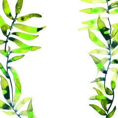 Fototapeta na wymiar Watercolor and ink painted branch with leaves