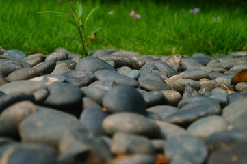 Cobblestone landscape