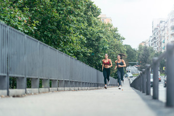 Fototapeta na wymiar runners twins jogging over a bridge with a city landscape