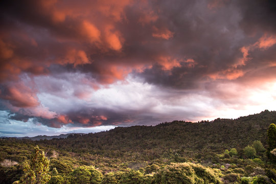 Looking south while sunsets over native NZ regenerated bush, scenic drive, waitakere ranges. Dramatic clouds. Green bush, red clouds. Could be storm coming, sunset or sunrise. Mountain range and ridge