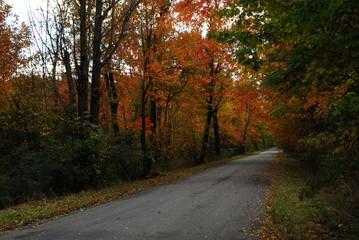 Fototapeta na wymiar Autumn Colors