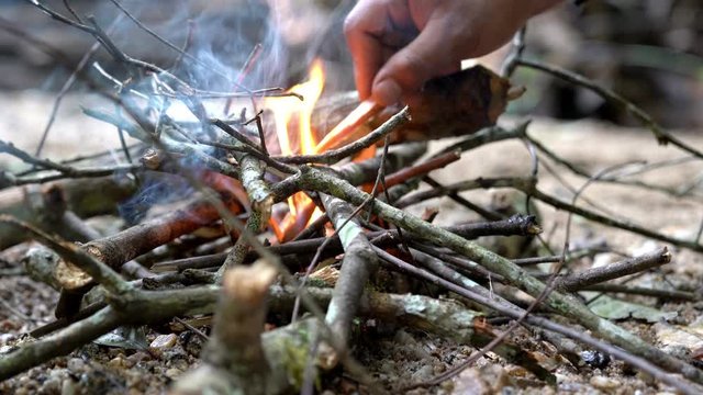  4K Medium close up shot of man hand making bonfire from tree branch. Burning flames firewood campfire in pine forest woodland. Adventure camping and travel concept.