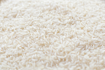Selective focus of Many rice close up