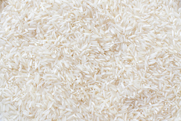 Many rice close up  texture background