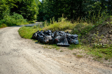 Greening in the mountains in the forest. Bag collected with garbage from the forest