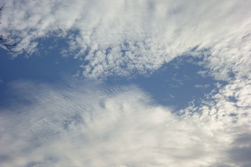 秋空の澄んだ晴天の青空に映える雲海