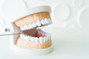 White teeth model and dental instruments on the white table