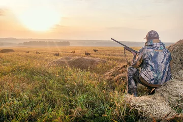 Poster Im Rahmen Hunter in camouflage with a gun hunting on black grouse. Hunting for game birds. Hunters open season in autumn. © Sergey
